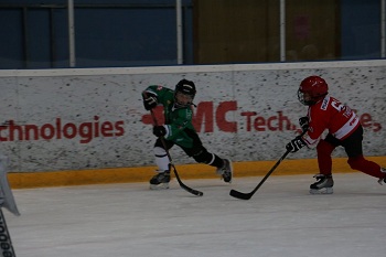 bergen11