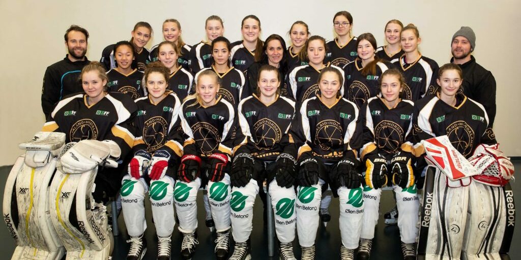 LAGBILDE Rogaland Ishockey krets 2017, Jenter U17 | Bakerst fra venstre: Hedda Håvarstein – Karen Lønø Forgaard – Kaja Egeli Kristensen – Millie Rose Sirum – Marte Bøe – Irina Schuvatova – Maren Knudsen | Midten fra venstre :  Marcus Forgaard – Jenni Kristensen – Eirin Stendahl – Jannike Wana le Gullman – Tone Olsen – Emilie Olsen – Juliette Kverme Larsen - Rebecka Haukali – Jørgen Forgaard | Foran fra venstre : Ena Nystrøm – Amalie Tveit Schei – Lotte Pedersen – Ingrid Holstad Berge – Stine Myreng Kjellesvik – Susanne Andersen – Sofie Agger Flyvholm